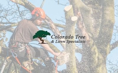 Colorado Tree & Lawn