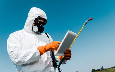 Top mistakes pest control companies make when designing their websites and how they can avoid them.