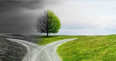 Scaling a Business Past Repeat & Referral: Why Growth Gets Tougher—and How to Win Anyway