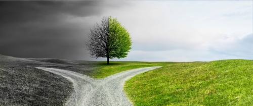 Visual metaphor of a contractor’s growth decision point—fork in the road representing the shift from referral-based business to scalable digital marketing strategies like Google Ads, SEO, and lead generation campaigns. One path leads through a dark, uncertain landscape (stagnant growth); the other toward a vibrant, green field (scalable success through cold lead conversion and online marketing).