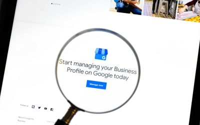 Google Business Profile vs. Website: Which Drives More Leads?